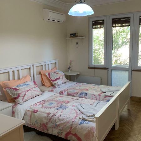 Viitoshka Apartment 索菲亞 外观 照片