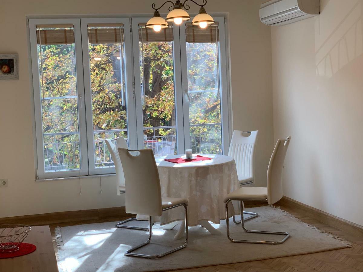 Viitoshka Apartment 索菲亞 外观 照片