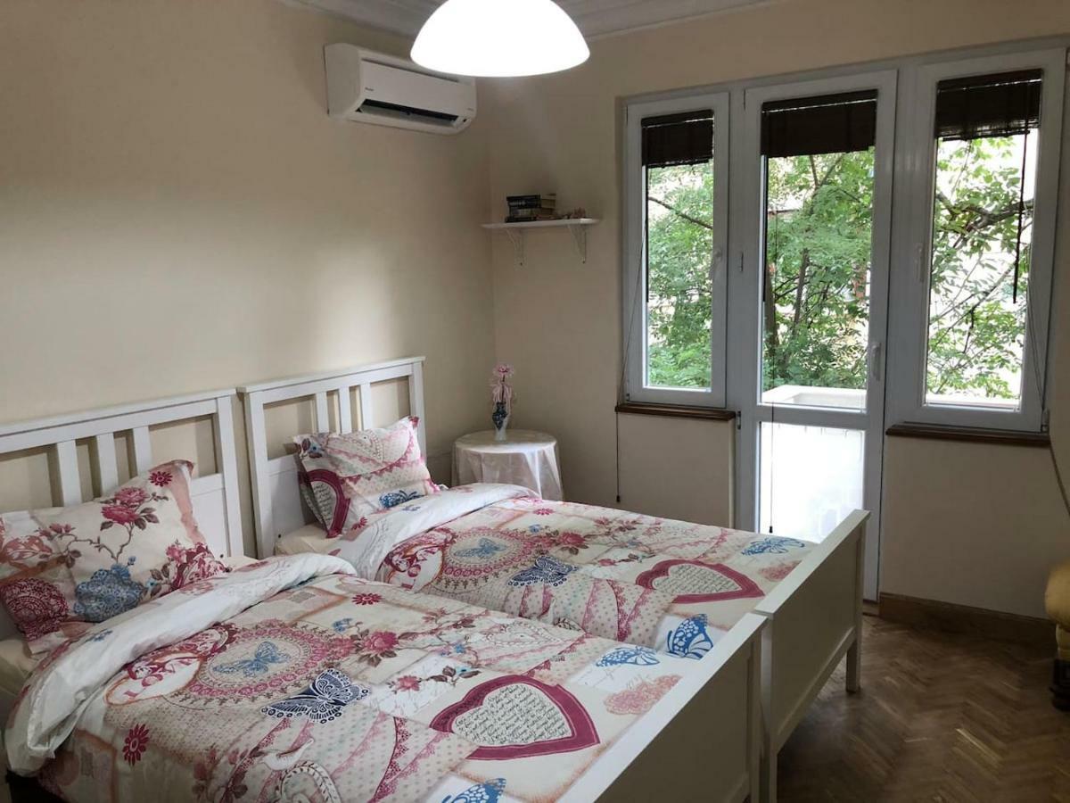 Viitoshka Apartment 索菲亞 外观 照片