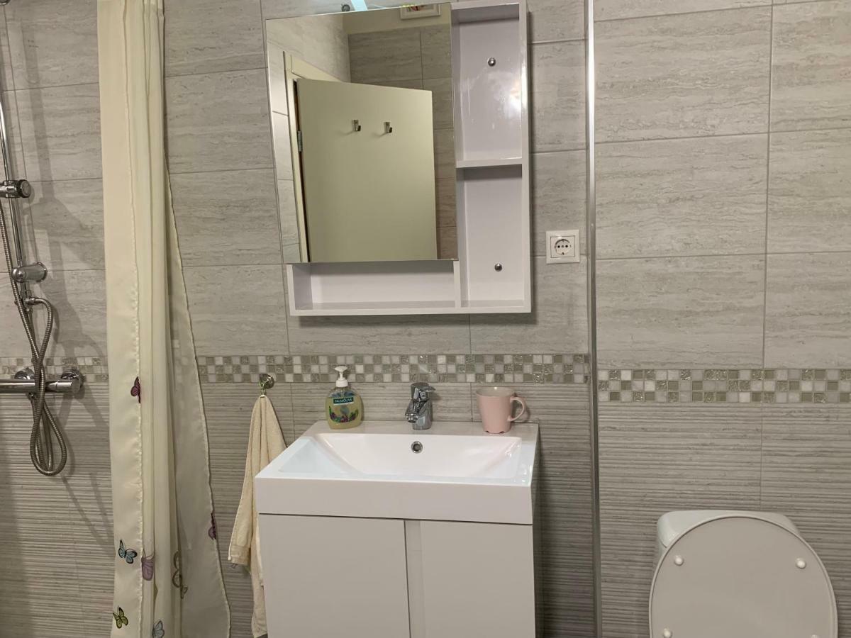 Viitoshka Apartment 索菲亞 外观 照片