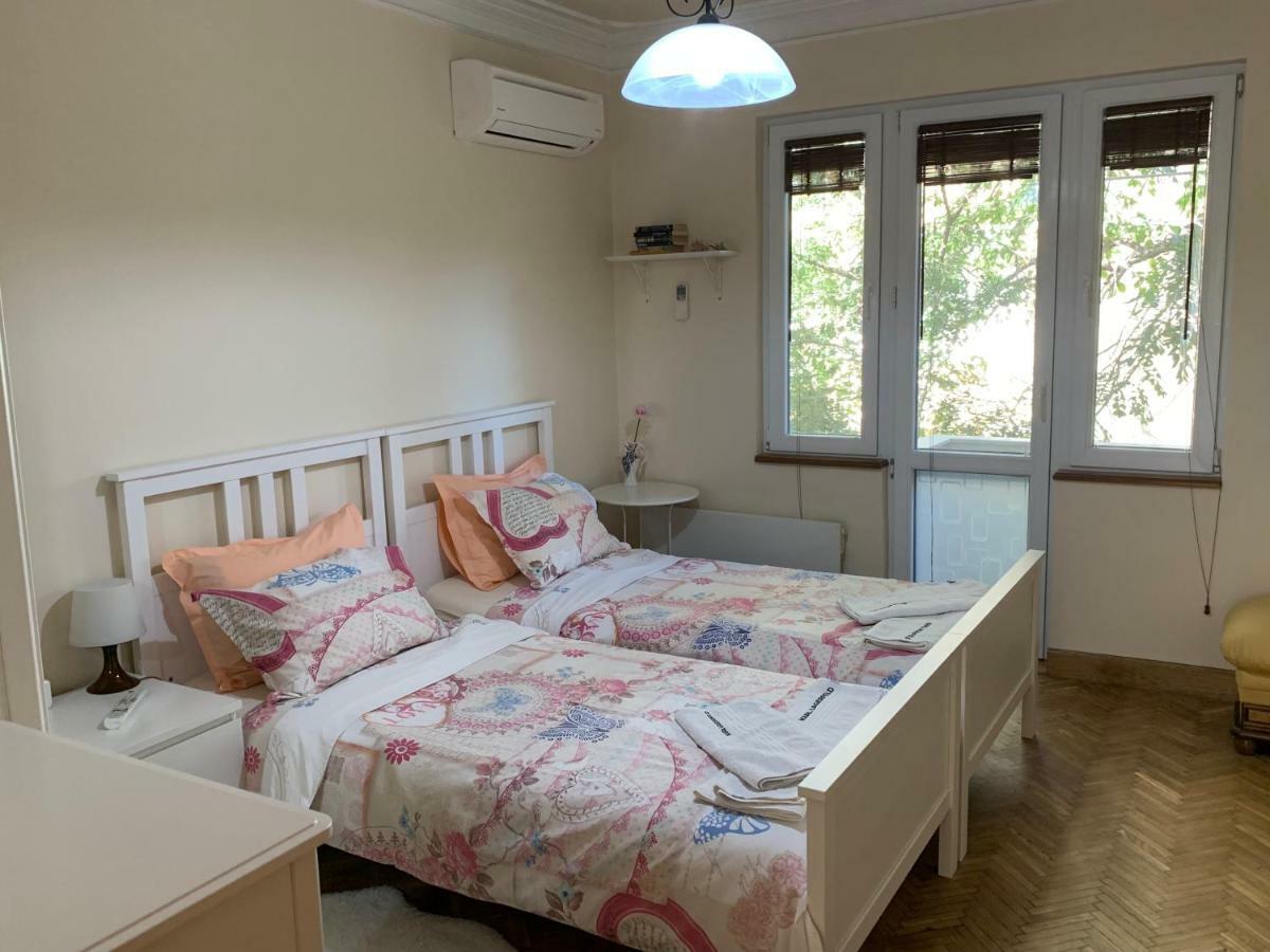Viitoshka Apartment 索菲亞 外观 照片
